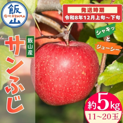 【先行予約丨2026年12月上旬より順次発送】サンふじ【約5kg(11～20玉)】