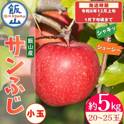 【先行予約丨2026年12月上旬より順次発送】サンふじ 小玉【約5kg(20〜25玉)】
