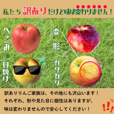 【先行予約丨2026年12月中旬より順次発送】訳あり サンふじ【約5kg(11〜23玉)】