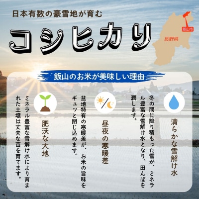 【先行予約】《 令和8年産 新米 》 飯山産 こしひかり 精米 10kg_戸狩サンファーム