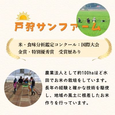【先行予約】《 令和8年産 新米 》 飯山産 こしひかり 精米 10kg_戸狩サンファーム