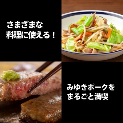 【冷凍配送】みゆきポーク味付焼肉&肩ロース味噌漬けセット