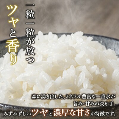 【先行予約】《 令和8年産 新米 》極上のコシヒカリ「七〇八米(なおやまい) 【蛍】」玄米10kg