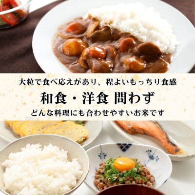 【令和8年新米予約】《定期便》つきあかり 2027年4月より10kgx3回「 木内ファームのお米」
