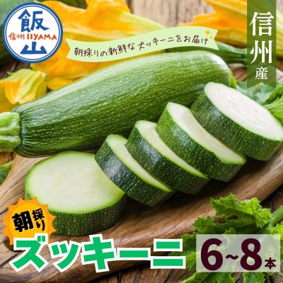 朝採り!! 新鮮ズッキーニ 約6~8本 《生産者直送》岸田農園