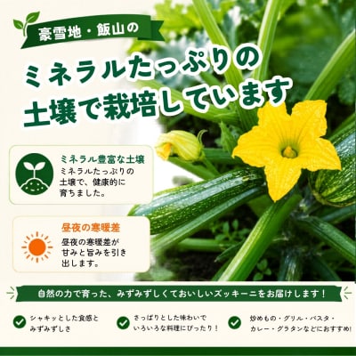 朝採り!! 新鮮ズッキーニ 約6~8本 《生産者直送》岸田農園