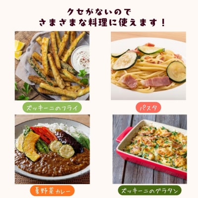 朝採り!! 新鮮ズッキーニ 約6~8本 《生産者直送》岸田農園