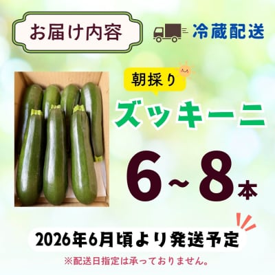 朝採り!! 新鮮ズッキーニ 約6~8本 《生産者直送》岸田農園