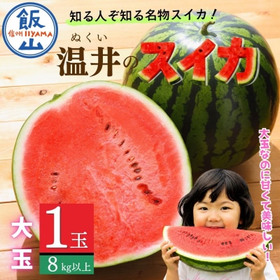 【数量限定】 温井のスイカ 大玉 1玉(8kg以上)《 2026年8月より順次発送 》