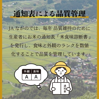 【令和7年産】北信州みゆき 幻の米 コシヒカリ 精米 15kg (5kg×3袋)