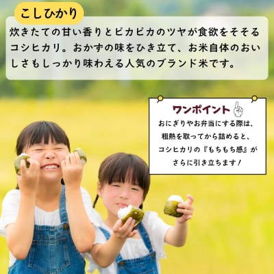 【令和7年産米】沼田さんちの満点 こしひかり 精米 5kg