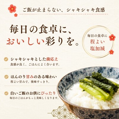 野沢菜漬 500g 3袋 合計 1.5kg《保存料・合成着色料不使用》
