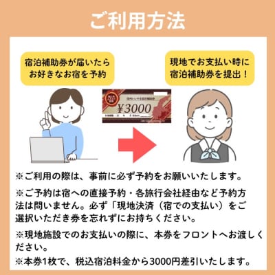 信州いいやま宿泊補助券30,000円分(3,000円x10枚)(T-5)