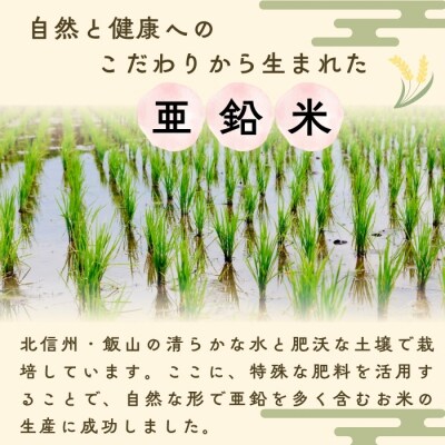 【令和8年新米予約】飯山産 コシヒカリ 〜亜鉛米〜  無洗米 5kg 真空パック