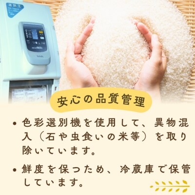 【令和8年新米予約】飯山産 コシヒカリ 〜亜鉛米〜  無洗米 5kg 真空パック