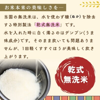 【令和8年新米予約】飯山産 コシヒカリ 〜亜鉛米〜  無洗米 5kg 真空パック