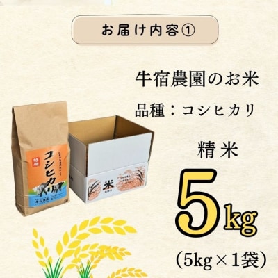 【令和8年 新米予約】コシヒカリ 精米 5kg (5kg×1袋)牛宿農園