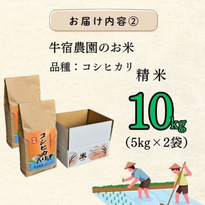 【令和8年 新米予約】コシヒカリ 精米 10kg (5kg×2袋)牛宿農園