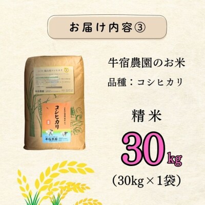 【令和8年 新米予約】コシヒカリ 精米 30kg (30kg×1袋)牛宿農園