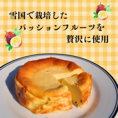 【冷凍】【米粉の濃厚チーズケーキ】13㎝ホール やよい農園