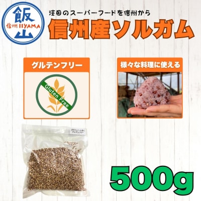【先行予約】飯山産ソルガム 500g 1袋 《出荷時期:2026年12月中旬頃〜》