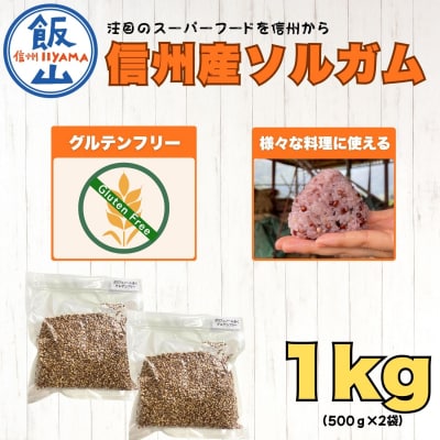 【先行予約】飯山産ソルガム 1kg (500g×2袋) 《出荷時期:2026年12月中旬頃〜》