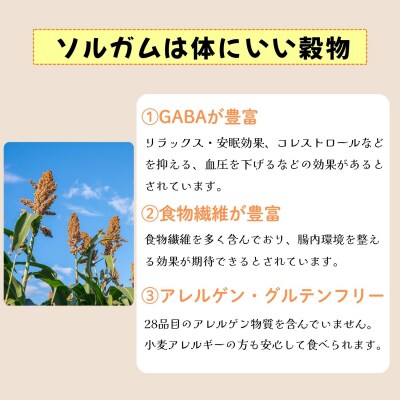 【先行予約】飯山産ソルガム 1kg (500g×2袋) 《出荷時期:2026年12月中旬頃〜》