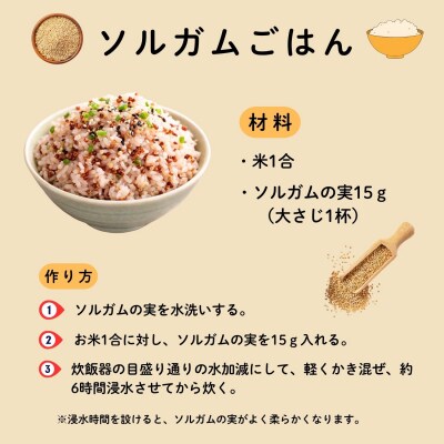 【先行予約】飯山産ソルガム 1kg (500g×2袋) 《出荷時期:2026年12月中旬頃〜》