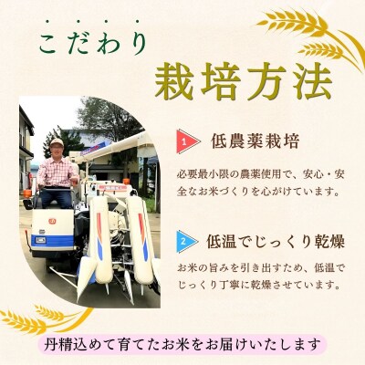 【新米予約】たかちゃんのお米 精米 10kg (10kg×1袋) サイクルファーム
