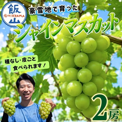 【先行予約】贈答用 シャインマスカット 2房(約1kg以上)木原果樹園