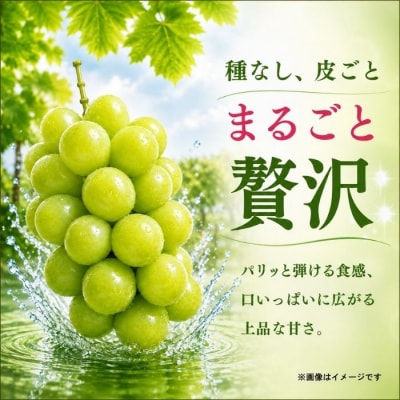 【先行予約】贈答用 シャインマスカット 2房(約1kg以上)木原果樹園