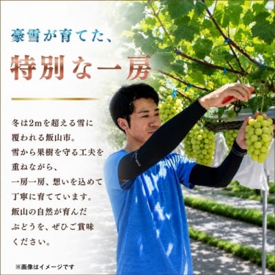 【先行予約】贈答用 シャインマスカット 2房(約1kg以上)木原果樹園