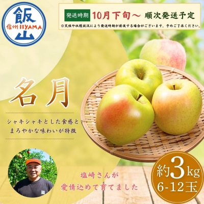 【先行予約】名月(めいげつ)【約3kg(6〜12玉)】│ 塩崎農園