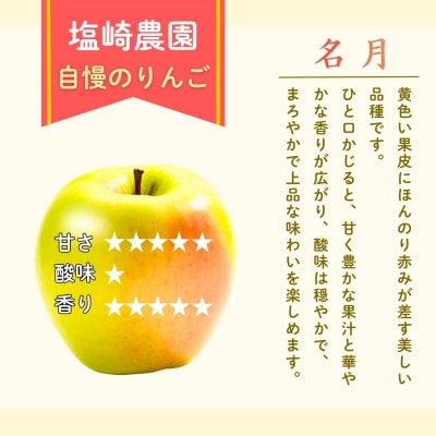 【先行予約】名月(めいげつ)【約3kg(6〜12玉)】│ 塩崎農園