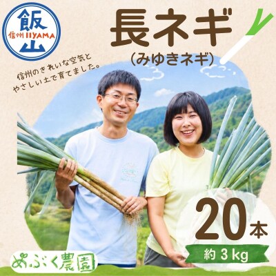 【期間限定】信州 飯山産 長ねぎ みゆきネギ 2L 20本(約3kg)│めぶく農園