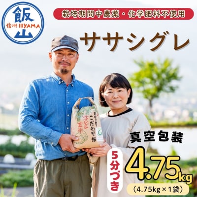 精米5分つき 【4.75kg】 令和8年産 ササシグレ 長野県産 【やよい農園】