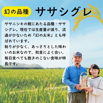 精米5分つき 【4.75kg】 令和8年産 ササシグレ 長野県産 【やよい農園】