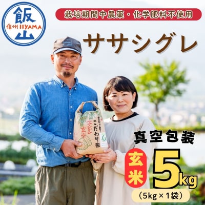 玄米 【5kg】 令和8年産 ササシグレ 長野県産 【やよい農園】