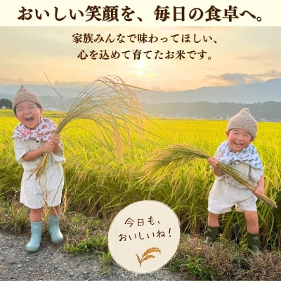 【新米】 あきたこまち 精米 10kg てんてこ米 今清水農園