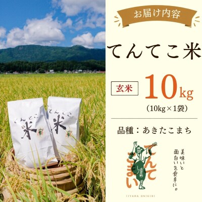 【新米】あきたこまち 玄米 10kg てんてこ米 今清水農園