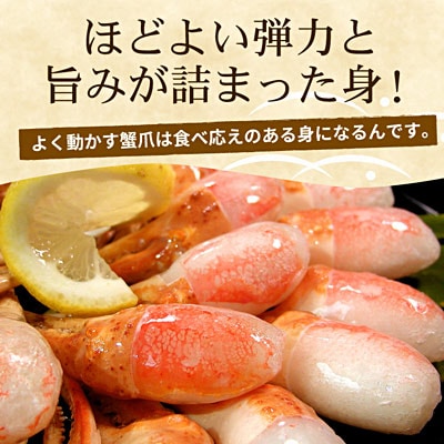＜12/21まで年内配送＞かに爪刺身500g A-07013