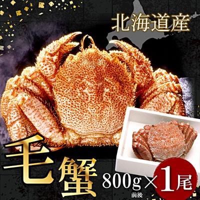 12/21܂ŔNz{CъI800gO×1 F-07011