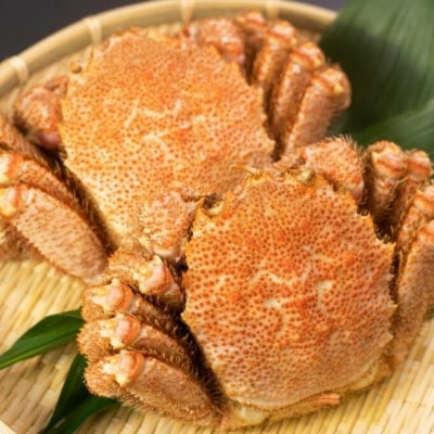 ＜12/10まで年内配送＞★ボイル毛蟹450g前後×2尾 C-66013