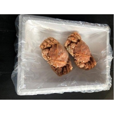 ＜12/10まで年内配送＞★ボイル毛蟹450g前後×2尾 C-66013