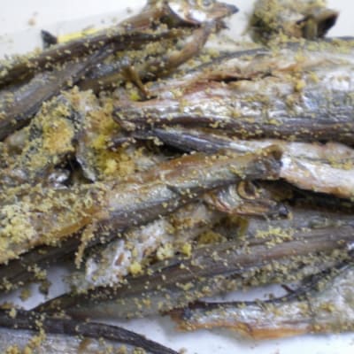 ＜12/17まで年内配送＞無化調炙りししゃも8袋セット A-33001