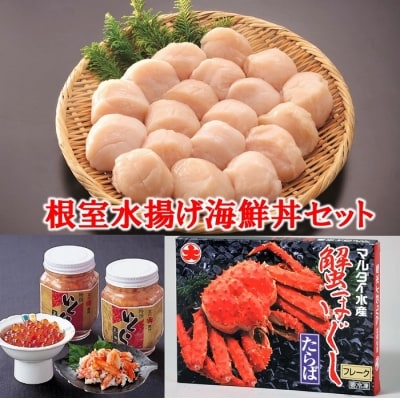 ＜12/21まで年内配送＞★根室水揚げ海鮮丼セット C-01001