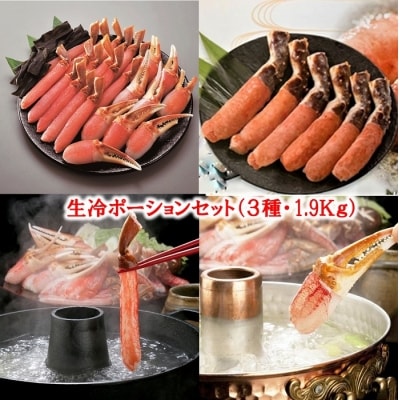 ＜12/21まで年内配送＞生冷ポーションセット(3種・計1.9kg) E-01011