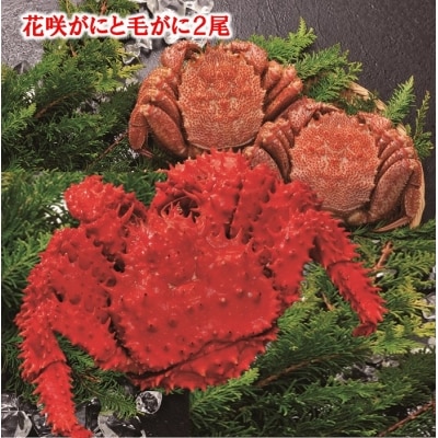 ＜12/21まで年内配送＞★花咲がにと毛がに2尾 D-01017
