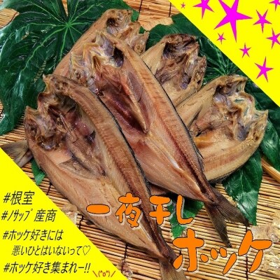 ＜12/21まで年内配送＞★一夜干しホッケ5枚 B-59005