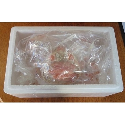 ＜12/21まで年内配送＞ずわいがに甲羅盛り120g×5個 B-59006